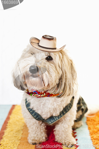 Image of Cute dog in cowboy costume