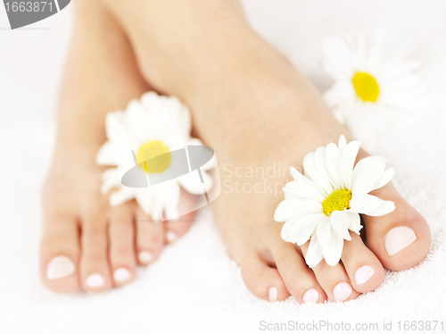 Image of Female feet with pedicure