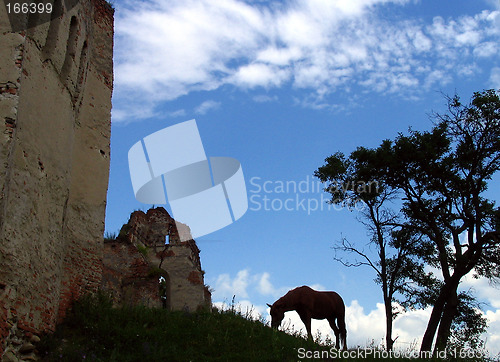 Image of Wild horse and ruins