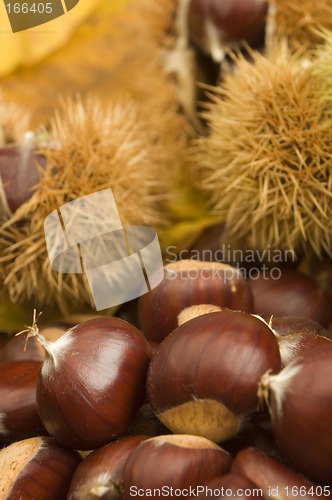 Image of chestnuts