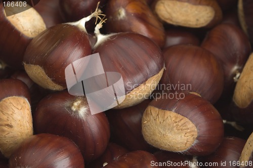 Image of chestnuts