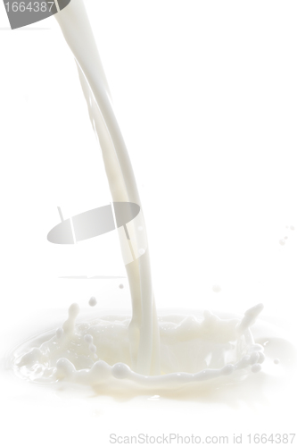 Image of milk splash