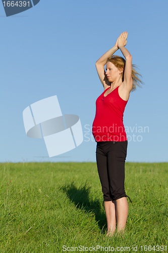 Image of pregnant woman on meadow