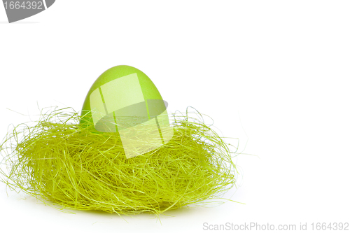 Image of easter egg in nest