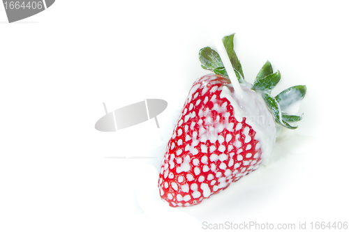 Image of strawberry splashing into milk