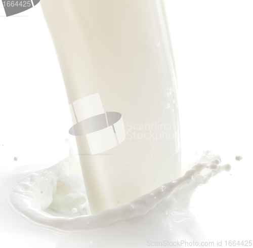 Image of milk splash