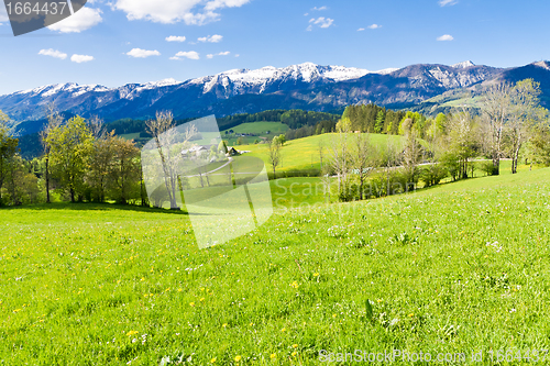 Image of alpine landscape