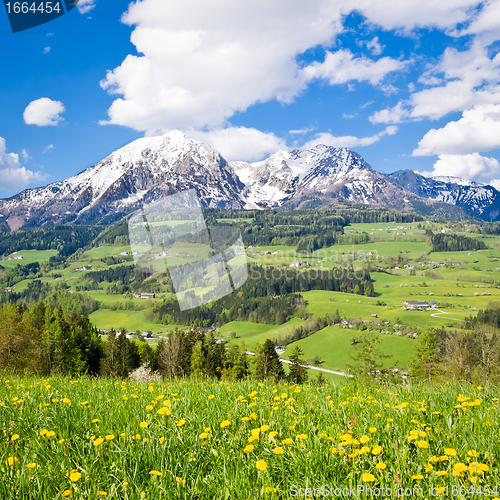 Image of alpine landscape