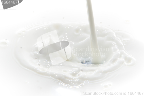 Image of milk splash