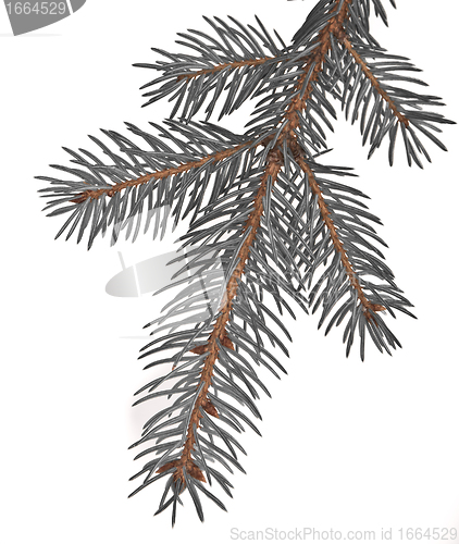 Image of Christmas tree decoration