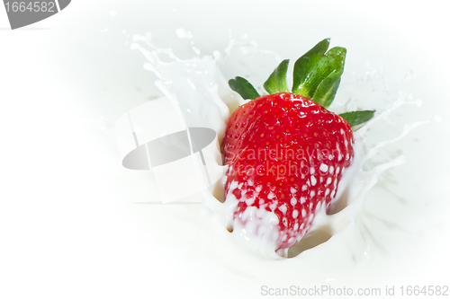 Image of strawberry splashing into milk