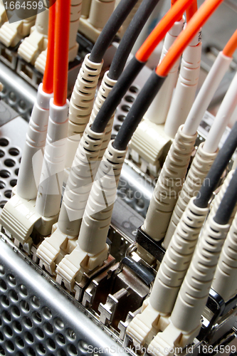 Image of network cables
