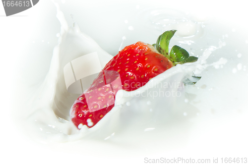 Image of strawberry splashing into milk