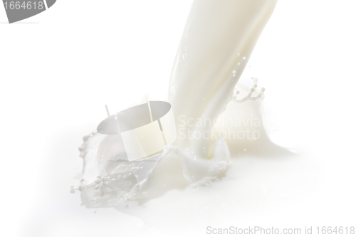 Image of milk splash