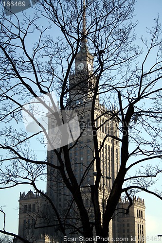 Image of PKiN through the trees - Warsaw famous landmark