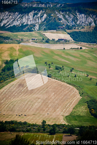 Image of Typical Tuscan landscape