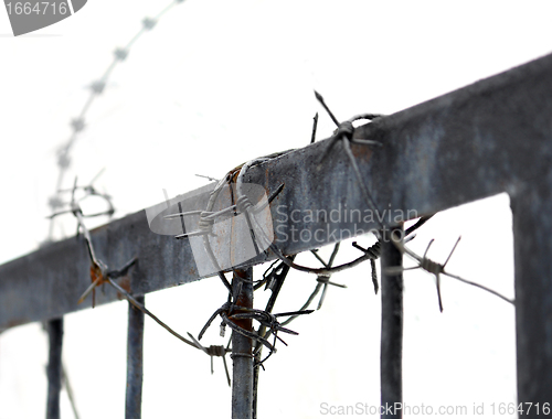 Image of Barbed wire