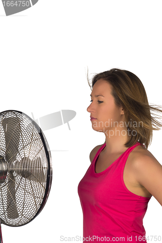 Image of Fan