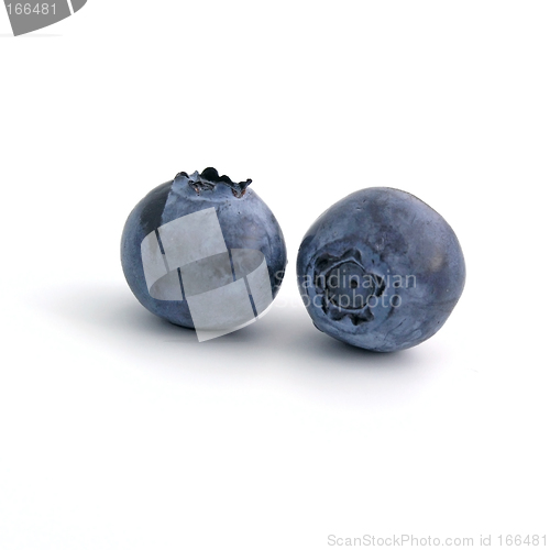 Image of bilberry