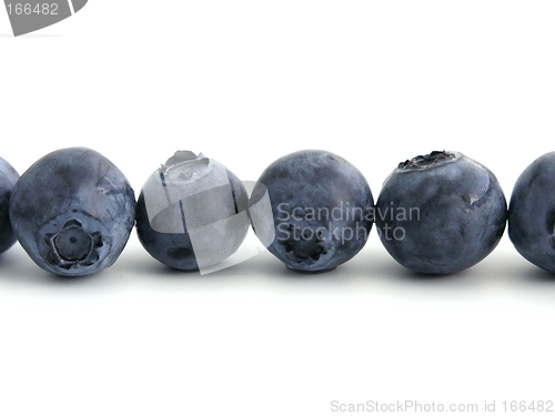 Image of bilberry