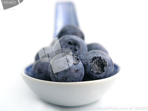 Image of bilberry