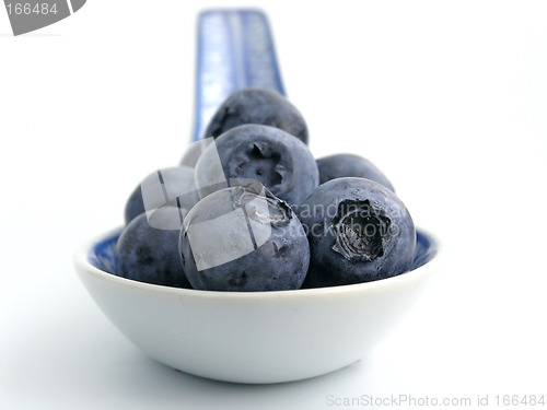 Image of bilberry