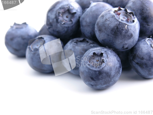 Image of bilberry