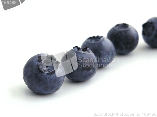 Image of bilberry