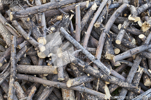 Image of pile of sticks