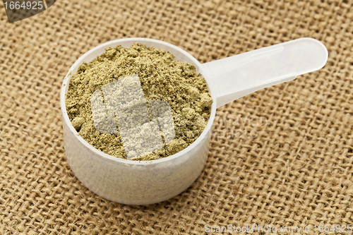Image of  scoop of hemp protein powder