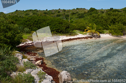 Image of Deserted beach