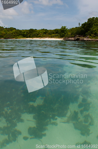 Image of Deserted beach