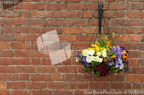 Image of Hanging flowers pot