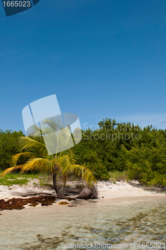 Image of Deserted beach