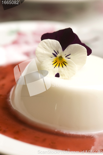 Image of Vanilla panna cotta with berry sauce and spring flower