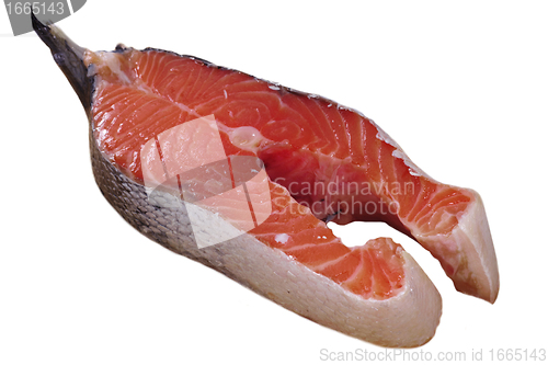 Image of Red fish