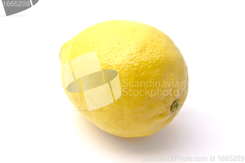 Image of Fresh Lemon