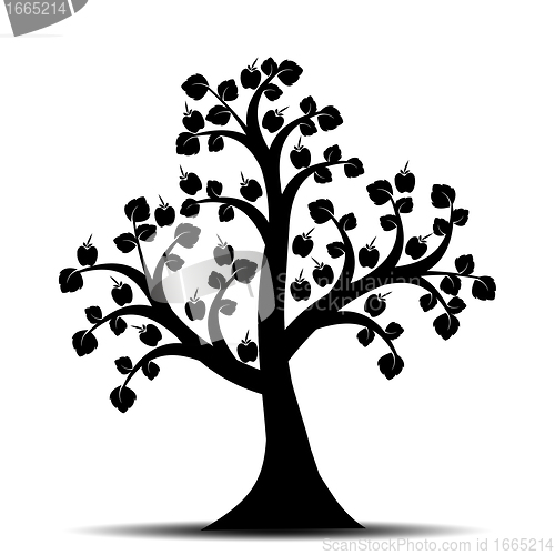 Image of Apple Tree