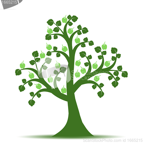 Image of Apple Tree