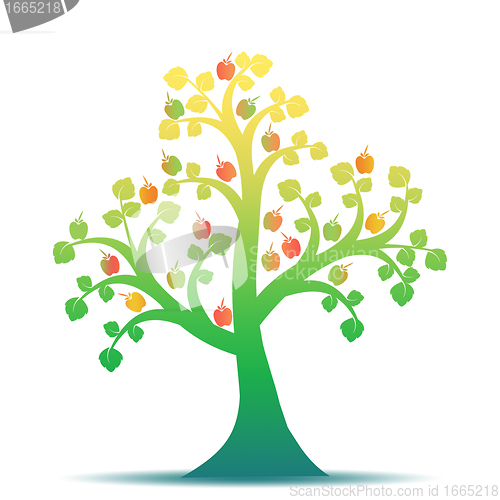 Image of Apple Tree