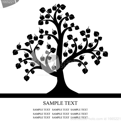Image of Apple Tree