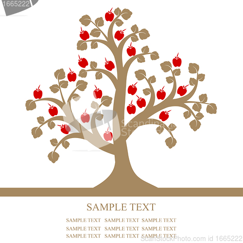 Image of Apple Tree