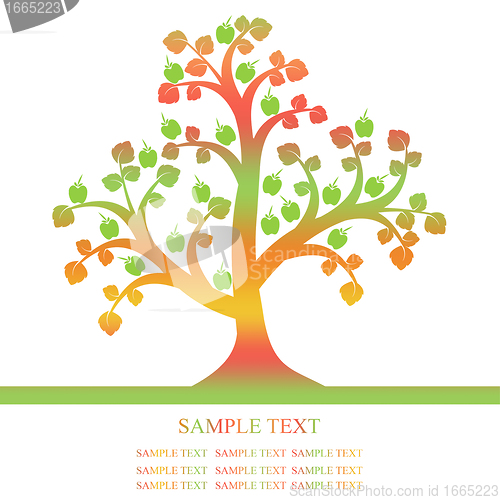 Image of Apple Tree