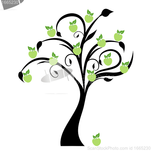 Image of Apple Tree