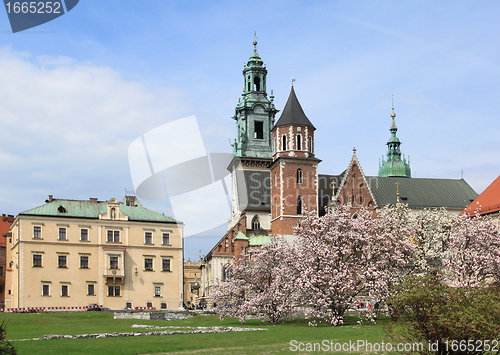 Image of Wawel in Cracow