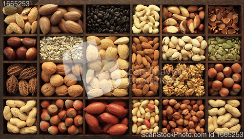 Image of Nuts