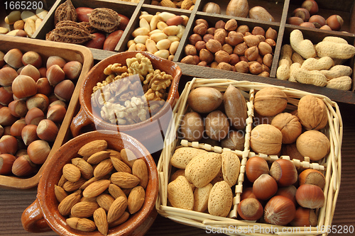 Image of Nuts