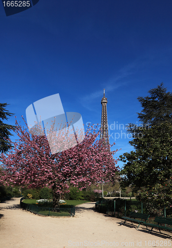 Image of Spring in Paris