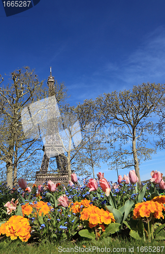 Image of Spring in Paris