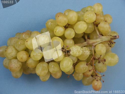 Image of Grapes